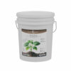 Biochar